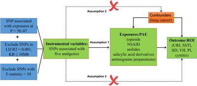 Causal effects and immune cell mediators between prescription analgesic use and risk of infectious diseases: a Mendelian randomization study